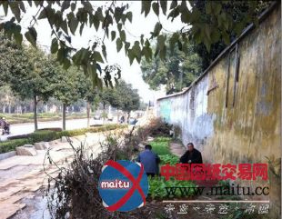 城管办对绿化带私有化行为进行了综合整治