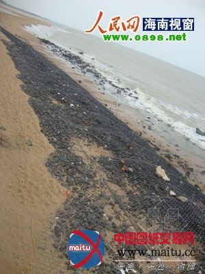 海口白沙门公园治理不善 杂草丛生无人管理