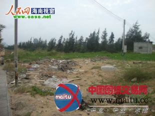 海口白沙门公园治理不善 杂草丛生无人管理