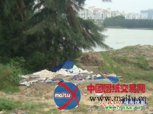 海口白沙门公园治理不善 杂草丛生无人管理