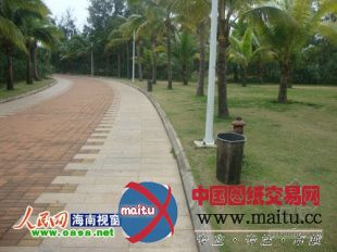 海口白沙门公园治理不善 杂草丛生无人管理