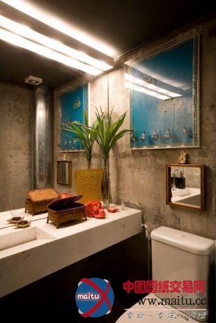 巴西现代艺术公寓