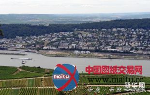 德国中莱茵河谷上游景观