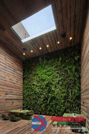 rojkind arquitectos+esrawe studio设计的墨西哥tori-tori餐厅