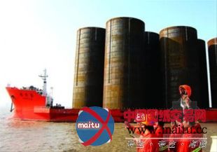 上海为大桥造了120个巨型钢筒