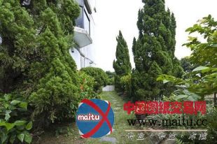 香港太平山顶的联排别墅