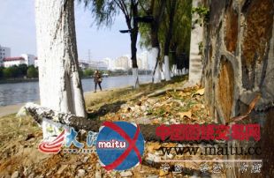 公园大批铜芯线被盗 景观灯成“摆设”