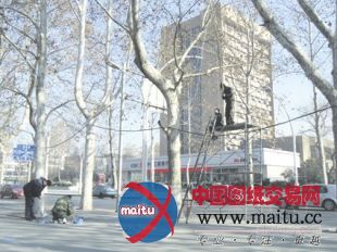 张店实施亮灯工程靓丽迎新年