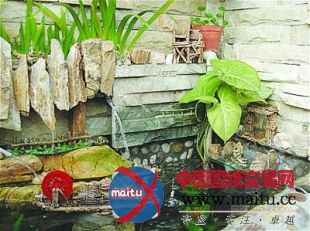 40多平米“扬州园林”引来央视聚焦