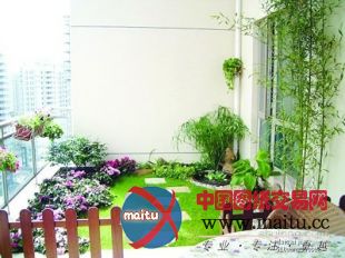 40多平米“扬州园林”引来央视聚焦