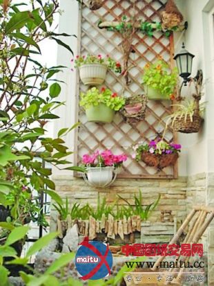 40多平米“扬州园林”引来央视聚焦