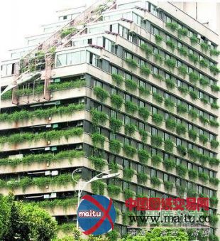 把大自然带回城市 立体绿艺