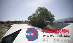 CUAC设计的西班牙生物多样性研究中心