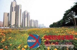 龙岩:有望获得“国家园林城市”荣誉称号