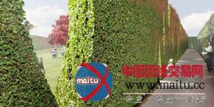 LOLA、deltavormgroep和piet oudolf设计的荷兰某公园扩建方案