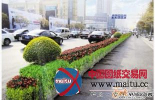 徐州淮海路隔离带景观提升工程下月开工