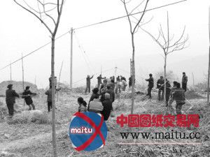 土崖一夜之间滑坡上万方