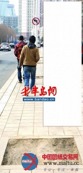 岛城立体化增绿 主干道将满眼绿色