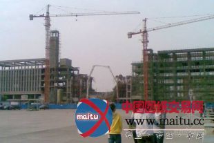 河南沁阳在建图书馆倒塌 建筑业黑幕毛骨悚然