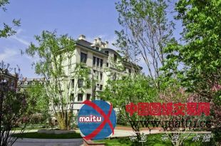 哈市举办“低能耗及被动式建筑”研讨会