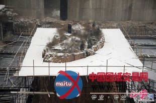 太原“钉子坟”即将迁走 施工方积极配合