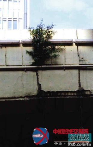 网曝广州多处立交开裂专家称系正常伸缩缝