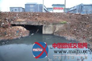 黑色污水直排入河 今世缘酒业污染街知巷闻