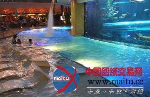 全球12个最有品味的星级酒店游泳池