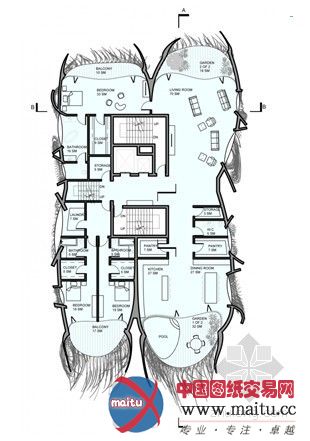 B + U设计的DNA动画窗口