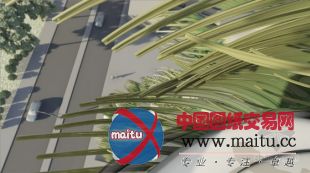 B + U设计的DNA动画窗口