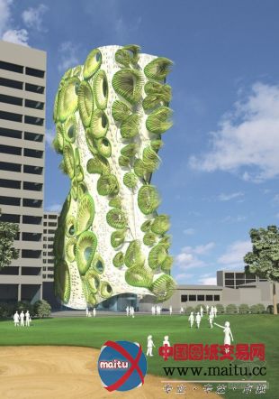 B + U设计的DNA动画窗口