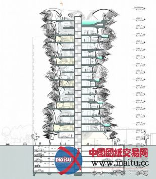 B + U设计的DNA动画窗口
