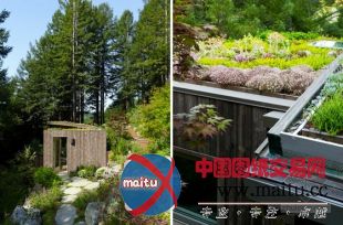 feldman architecture设计的旧金山mill valley木屋别墅