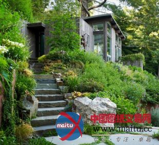 feldman architecture设计的旧金山mill valley木屋别墅