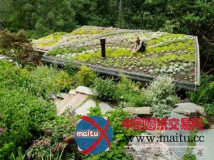 feldman architecture设计的旧金山mill valley木屋别墅