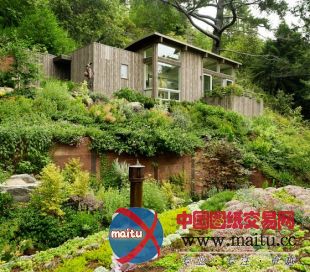 feldman architecture设计的旧金山mill valley木屋别墅
