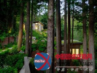 feldman architecture设计的旧金山mill valley木屋别墅