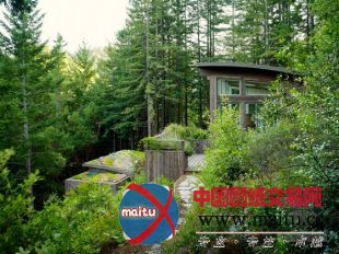 feldman architecture设计的旧金山mill valley木屋别墅