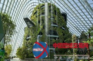 Wilkinson Eyre Architects设计的新加坡滨海湾花园冷却温室