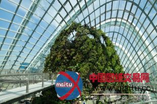 Wilkinson Eyre Architects设计的新加坡滨海湾花园冷却温室