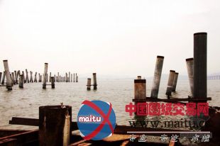 造价数千万只打了几个桩 观海桥工程为何“搁浅”