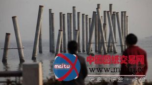 造价数千万只打了几个桩 观海桥工程为何“搁浅”