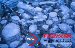 加拿大亚伯拉罕湖出现冰冻气泡景观