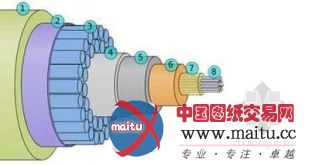 中国海底光缆大揭秘(图解)