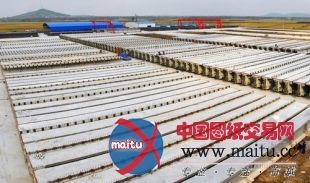 丹大铁路前庄项目喜获火车头奖