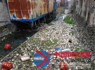 浙江企业家悬赏20万请环保局长下河游泳