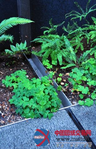 2.ink Studio设计俄勒冈州Hoke住宅