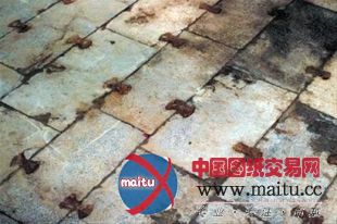 耗时12年上海建成元代水闸博物馆