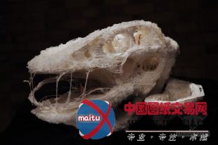 Softkill设计的3D印刷打印住房ProtoHouse