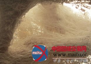 Softkill设计的3D印刷打印住房ProtoHouse